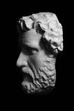 Antoninus Pius Mask Cast