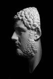 Caracalla Mask Cast