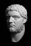 Caracalla Mask Cast