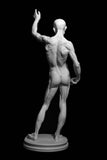 Cigoli Anatomy Figure Cast