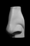 David Nose Cast